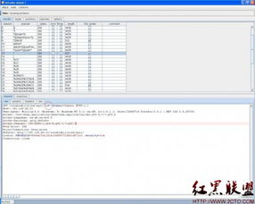 Burp Suite工具使用之二 Intruder模塊在網(wǎng)絡與信息安全軟件開發(fā)中的應用