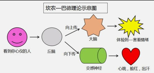 情緒解碼與平衡 心理健康咨詢中的情緒管理與健康實踐